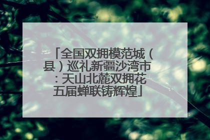 全国双拥模范城（县）巡礼新疆沙湾市：天山北麓双拥花 五届蝉联铸辉煌