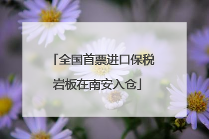 全国首票进口保税岩板在南安入仓