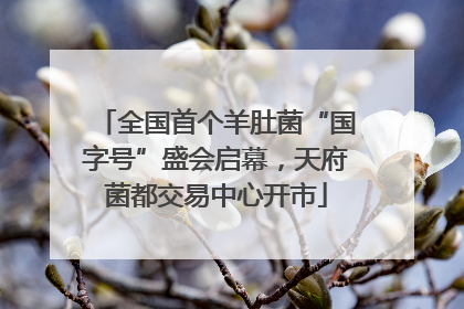 全国首个羊肚菌“国字号”盛会启幕，天府菌都交易中心开市