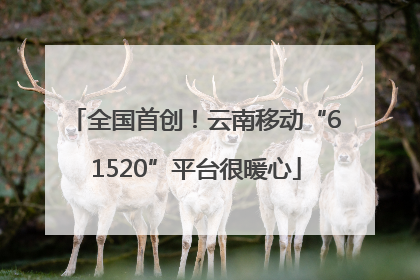 全国首创！云南移动“61520”平台很暖心