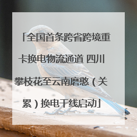 全国首条跨省跨境重卡换电物流通道 四川攀枝花至云南磨憨（关累）换电干线启动