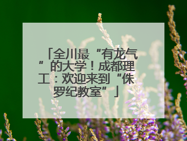 全川最“有龙气”的大学！成都理工：欢迎来到“侏罗纪教室”