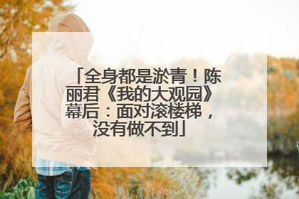 全身都是淤青！陈丽君《我的大观园》幕后：面对滚楼梯，没有做不到