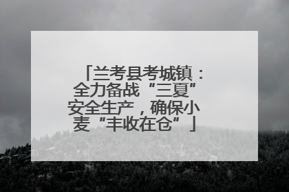 兰考县考城镇：全力备战“三夏”安全生产，确保小麦“丰收在仓”