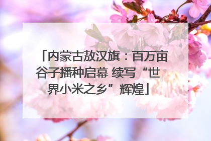 内蒙古敖汉旗：百万亩谷子播种启幕 续写“世界小米之乡”辉煌