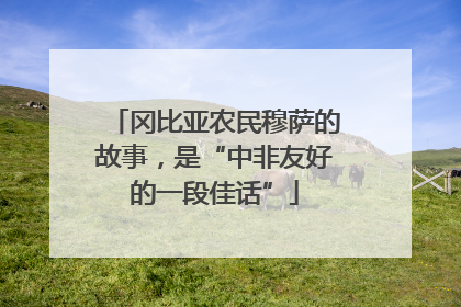 冈比亚农民穆萨的故事，是“中非友好的一段佳话”