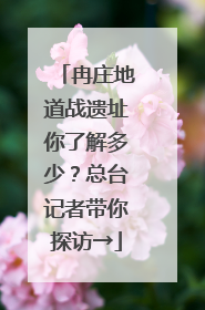 冉庄地道战遗址你了解多少？总台记者带你探访→