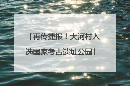再传捷报！大河村入选国家考古遗址公园