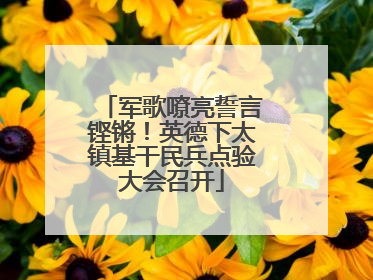 军歌嘹亮誓言铿锵！英德下太镇基干民兵点验大会召开