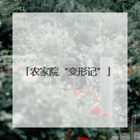 农家院“变形记”
