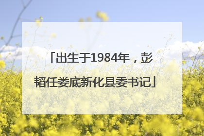出生于1984年，彭韬任娄底新化县委书记