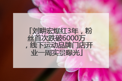刘畊宏爆红3年，粉丝首次跌破6000万，线下运动品牌门店开业一周实景曝光