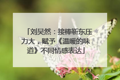 刘昊然：接棒靳东压力大，赋予《温暖的味道》不同情感表达