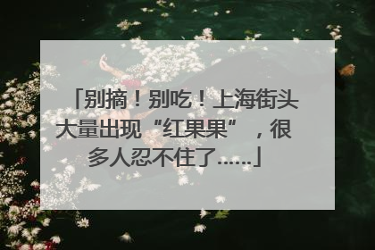 别摘！别吃！上海街头大量出现“红果果”，很多人忍不住了……