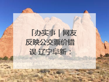 办实事｜网友反映公交票价错误 辽宁阜新：及时核查更正 加强实时巡检