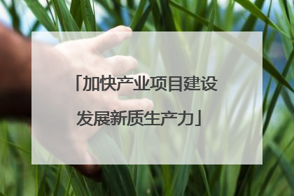 加快产业项目建设 发展新质生产力