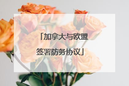 加拿大与欧盟签署防务协议