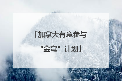 加拿大有意参与“金穹”计划