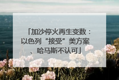 加沙停火再生变数：以色列“接受”美方案、哈马斯不认可