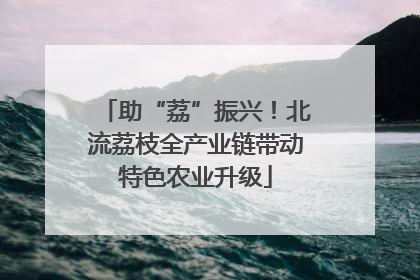 助“荔”振兴！北流荔枝全产业链带动特色农业升级