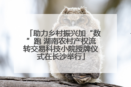 助力乡村振兴加“数”跑 湖南农村产权流转交易科技小院授牌仪式在长沙举行