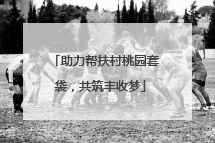 助力帮扶村桃园套袋，共筑丰收梦