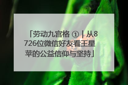 劳动九宫格 ①｜从8726位微信好友看王星苹的公益信仰与坚持