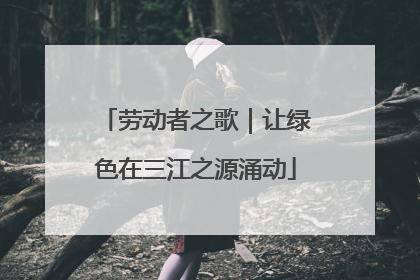 劳动者之歌｜让绿色在三江之源涌动