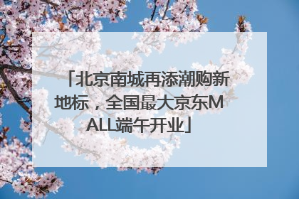 北京南城再添潮购新地标，全国最大京东MALL端午开业