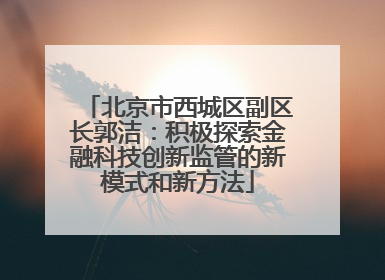 北京市西城区副区长郭洁：积极探索金融科技创新监管的新模式和新方法