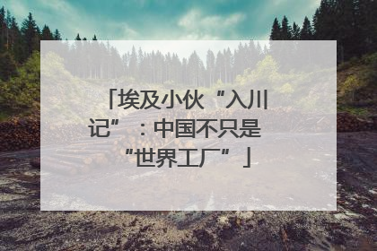 埃及小伙“入川记”：中国不只是“世界工厂”