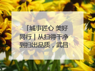 城事匠心 美好同行｜从扫得干净到扫出品质，武昌临江大道“洗”出洁净样板路