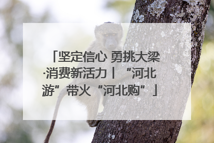 坚定信心 勇挑大梁·消费新活力丨“河北游”带火“河北购”