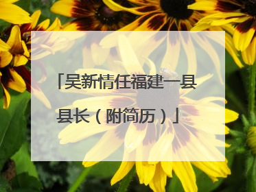 吴新情任福建一县县长（附简历）