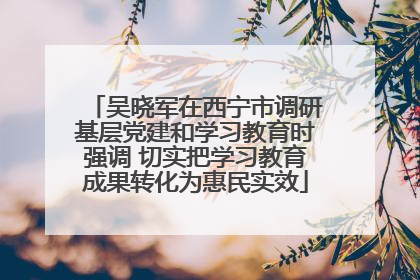 吴晓军在西宁市调研基层党建和学习教育时强调 切实把学习教育成果转化为惠民实效
