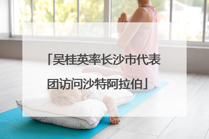 吴桂英率长沙市代表团访问沙特阿拉伯