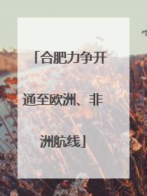 合肥力争开通至欧洲、非洲航线