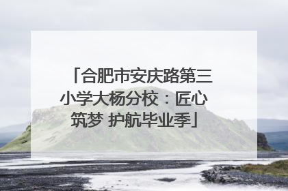 合肥市安庆路第三小学大杨分校：匠心筑梦 护航毕业季