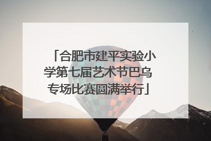 合肥市建平实验小学第七届艺术节巴乌专场比赛圆满举行