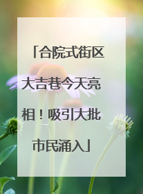 合院式街区大吉巷今天亮相！吸引大批市民涌入