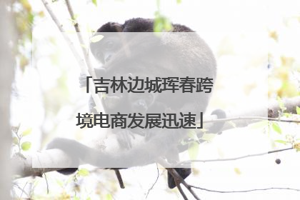 吉林边城珲春跨境电商发展迅速