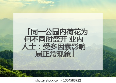 同一公园内荷花为何不同时盛开 业内人士：受多因素影响 属正常现象