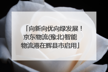 向新向优向绿发展！京东物流(豫北)智能物流港在辉县市启用