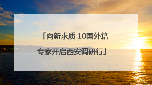 向新求质 10国外籍专家开启西安调研行