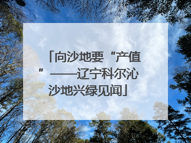 向沙地要“产值”——辽宁科尔沁沙地兴绿见闻