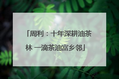 周利：十年深耕油茶林 一滴茶油富乡邻