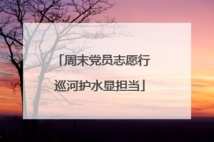 周末党员志愿行 巡河护水显担当