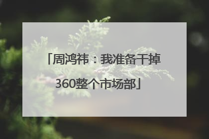 周鸿祎：我准备干掉360整个市场部