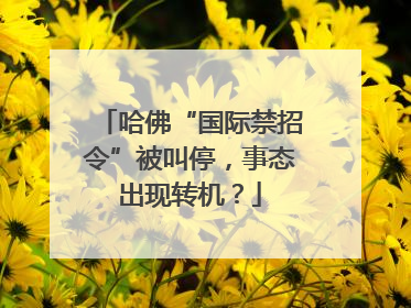 哈佛“国际禁招令”被叫停，事态出现转机？