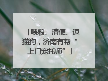 喂粮、清便、逗猫狗，济南有帮“上门宠托师”